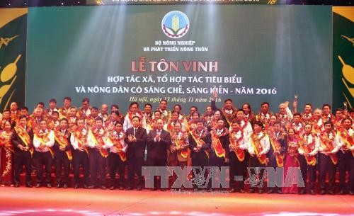 Ceremony honors outstanding cooperatives and farmers - ảnh 2